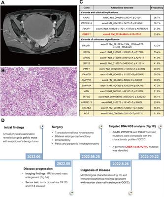 Case report: A germline CHEK1 c.613 + 2T>C leads to a splicing error in a family with multiple cancer patients